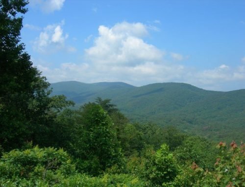 8 Epic Mountains In Alabama That Will Drop Your Jaw