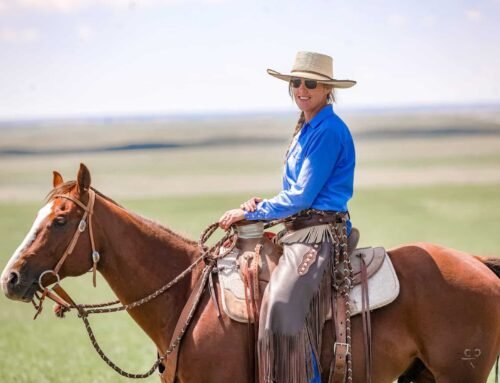 A Reintroduction, of Sorts • The Prairie Homestead