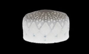 Gore completes deal to acquire Conformal Medical