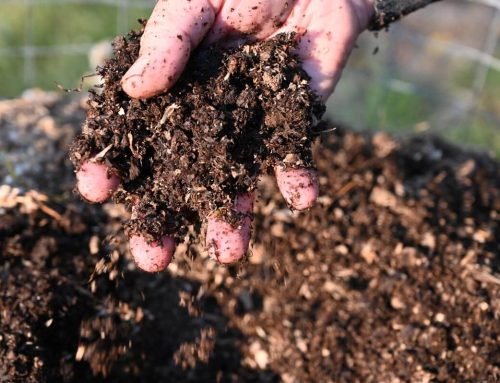 Soil Aeration: Why Oxygen Is Essential for Healthy Garden Soil — Homesteading Family