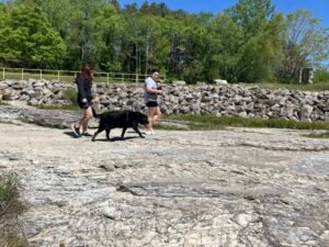 Coralville Lake visitor center reopens after 4 years, but no money fo…