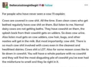 Cow shit. Wonkette One A Day for 2/5!