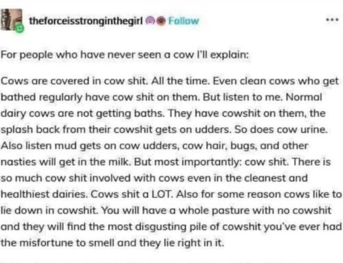 Cow shit. Wonkette One A Day for 2/5!