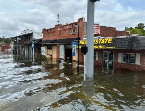 D-SNAP benefits aim to put Florida counties ‘back on their feet’