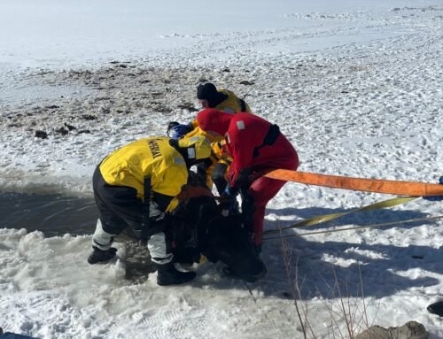 Boulder County crews rescue cow that fell through the ice – Boulder …