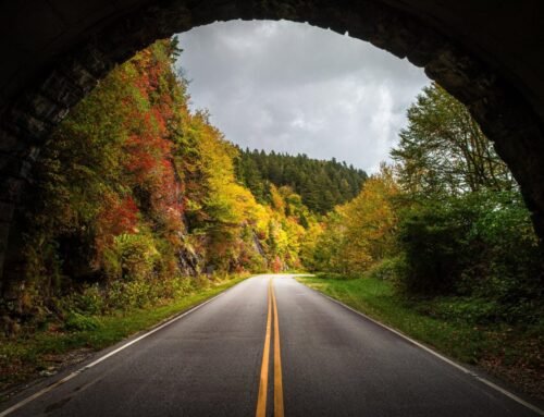 Just in Time for Leaf-Peeping Season, the Blue Ridge Parkway Reopens – Garden & Gun