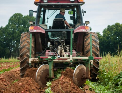Foreign ownership of U.S. farmland probed at U.S. Senate hearing