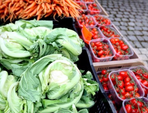 Stamford farm helps residents in need after loss of SNAP benefits – N…