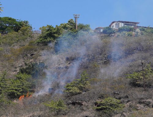 Minimum Qualifications Proposed For Honolulu Emergency Manager
