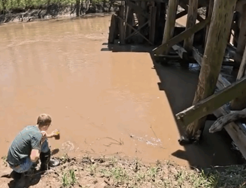 Here’s why Iowans say they volunteer to test lakes, rivers for nitrat…
