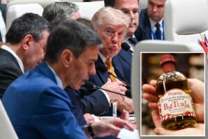 Here’s why Trump threatened to cut off trade with Spain — and which g…