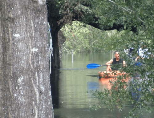 Hernando Co. neighbors ready to evacuate as they continuing to battle…