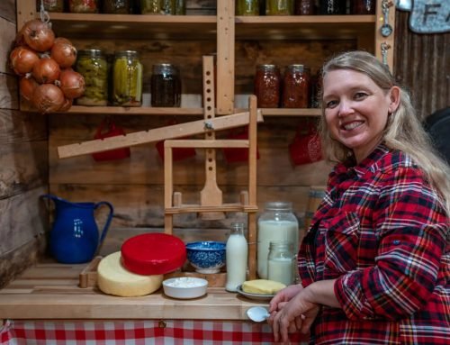Cultured Dairy Made Simple — Homesteading Family