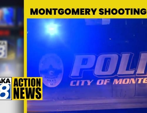 Hyundai Motor Manufacturing Alabama employee shot outside of plant – …