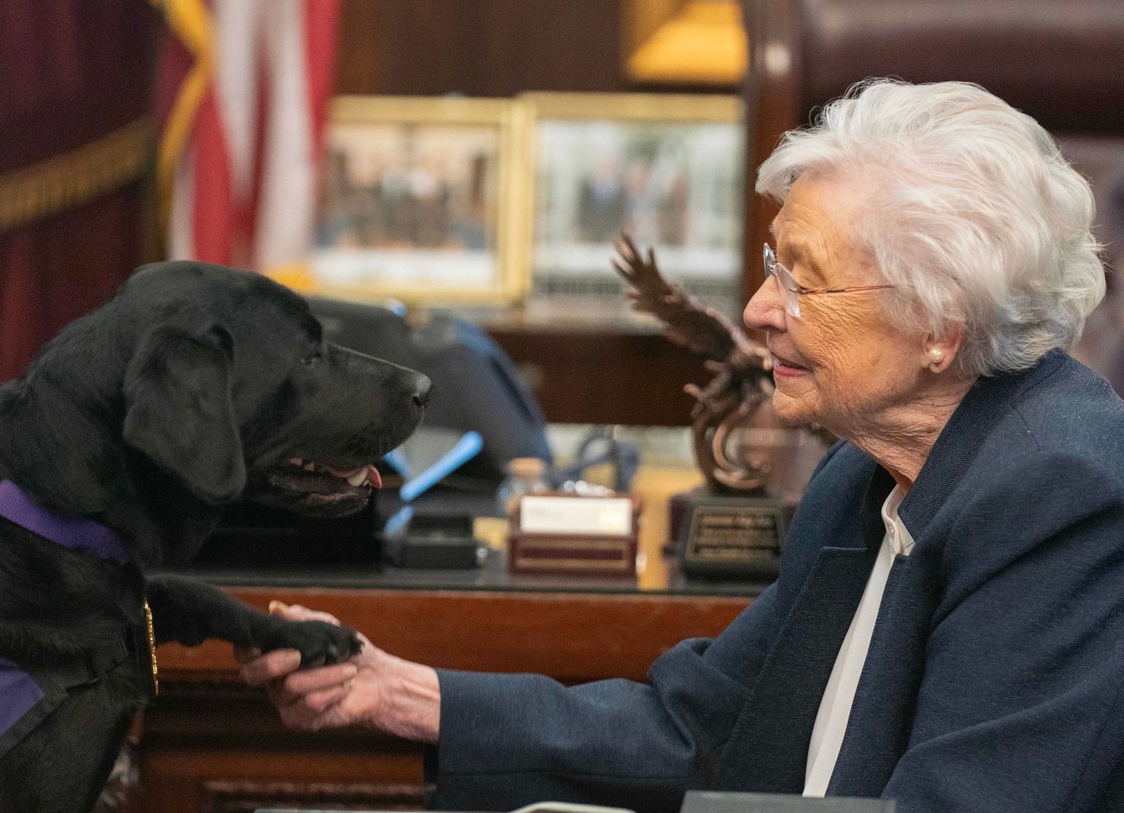 Governor Ivey Announces Vaquito, the Work Zone Safety Dog, as Honorar...
