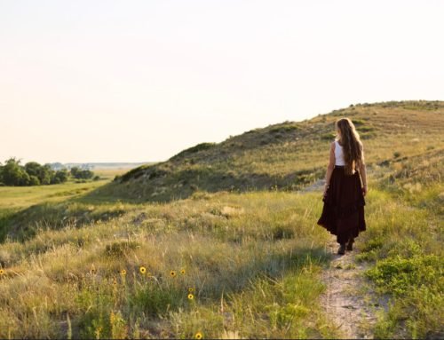 A Hard and Honest Update • The Prairie Homestead