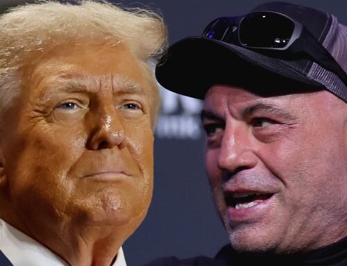 Joe Rogan Officially Endorses Donald Trump After Elon Musk Interview