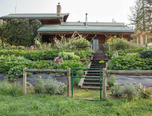 What We’re Changing on the Homestead This Year — Homesteading Family