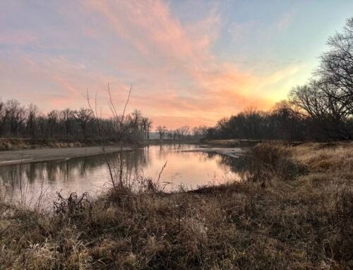 Nitrate levels in Iowa water remained high through fall, data show