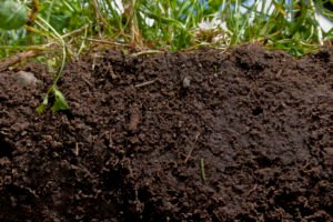 Nitrogen soil sampling project expands to Des Moines, Cedar Rapids wa…
