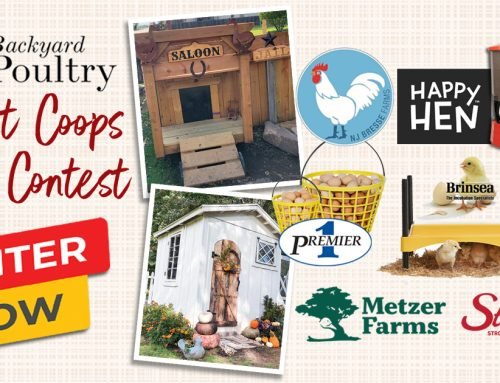 2026 Coolest Coops Photo Contest!