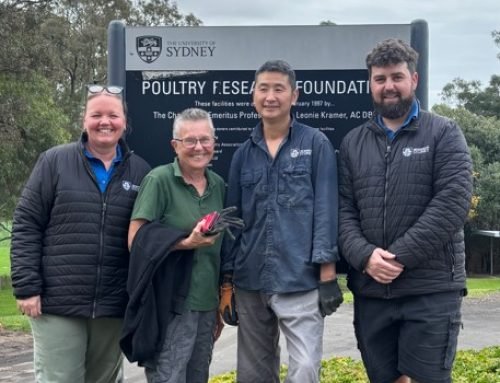 Reducing Soybean Meal in Broiler Diets