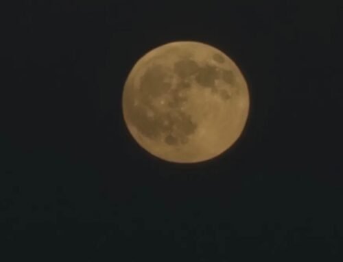 How to spot November’s supermoon, the closest of the year – NBC Conne…