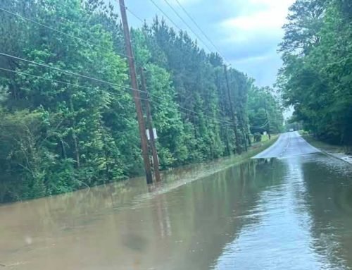 TAKE A LOOK: Sunday storms bring flooding to central Alabama communit…