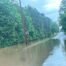 TAKE A LOOK: Sunday storms bring flooding to central Alabama communit...