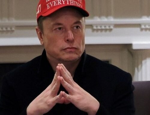 Tesla looking to replace Elon Musk as CEO amid declining profits: WSJ