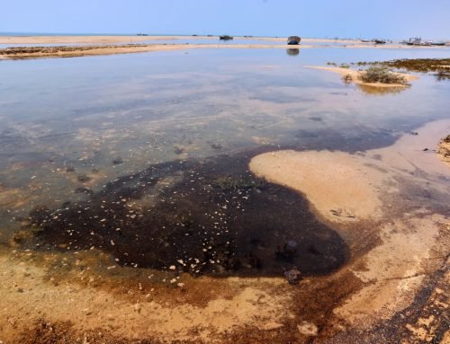 TomDispatch: Ecocide in Iran