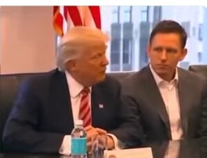 Top Trump Donor and Tech Billionaire Peter Thiel Revealed as Funder o…