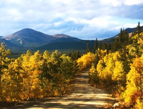 Track Breckenridge's fall colors from your phone with new '…