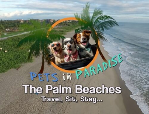 Travel Channel shows Palm Beach County is a pets’ paradise