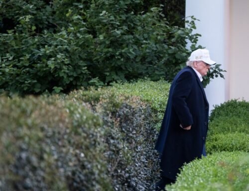 Trump May Pause On Shoving DOGE Cuts Down Congress’ Throat; May Force…