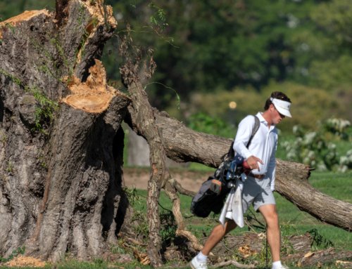 Trump Plows Forward With Plan to Build the Golf Course of His Dreams …