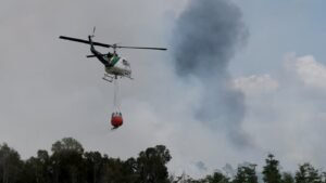 Trump administration’s new wildfire agency preps for fire season : NP…