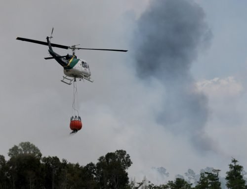 Trump administration’s new wildfire agency preps for fire season : NP…
