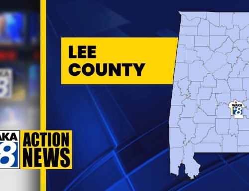 Two people killed in head-on crash in Lee County – WAKA 8