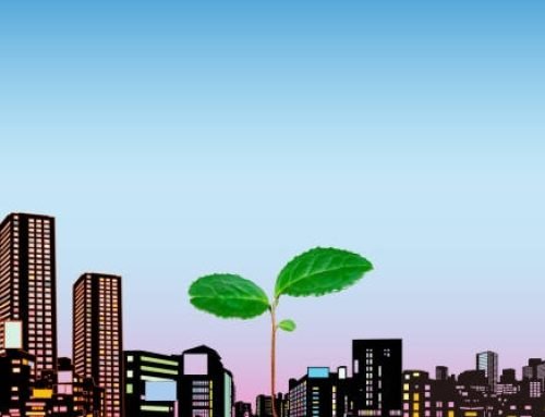 Why Urban Trees Are One of the Best Investments a City Can Make