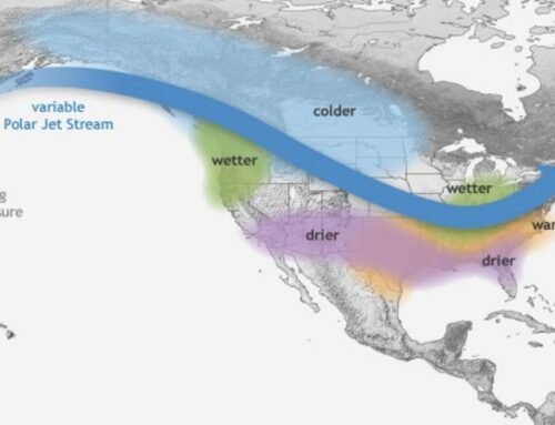 What will winter in South Florida look like this year? – NBC 6 South …