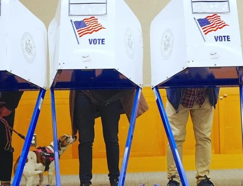 Why is voting important? Beyond the basics of what makes your midterm…