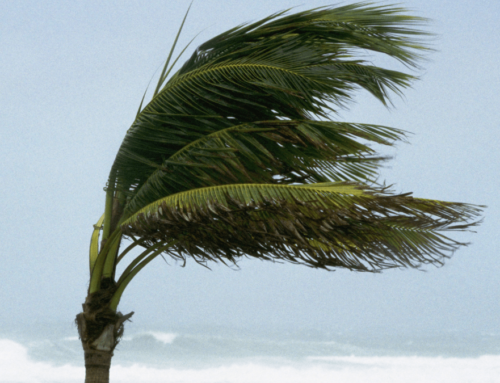 Wind advisory for Broward, Miami-Dade – NBC 6 South Florida