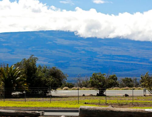 World’s largest active volcano starts to erupt in Hawaii, sending ash…