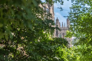 Yale Loses the Capitulation Bowl