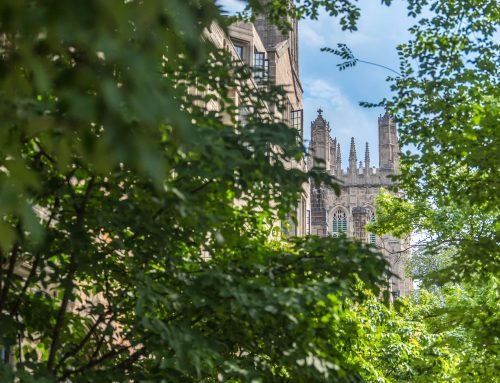Yale Loses the Capitulation Bowl