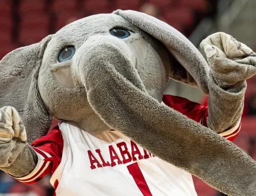 Yea Alabama releases a statement after Director of Content was arrest…