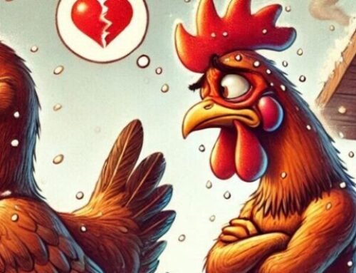Understanding Chicken Body Language – What Do Their Actions Mean