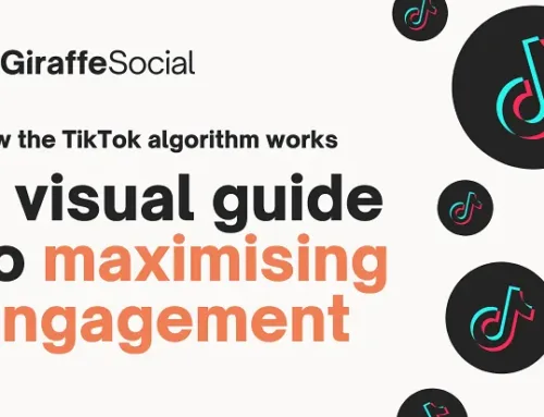 How the TikTok Algorithm Works [Infographic]