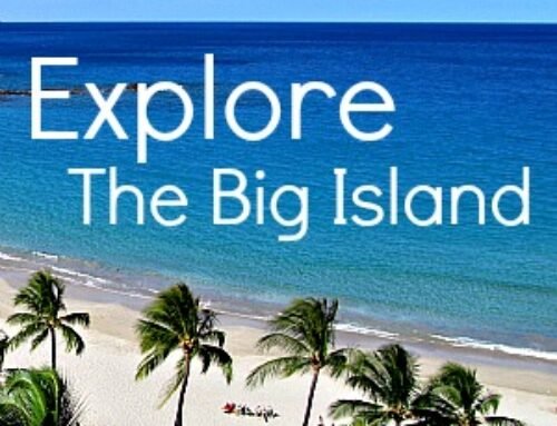 Big Island Blog: News & Updates
